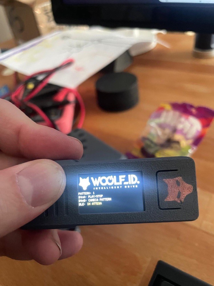 Dispositivo Woolf ID acceso, tenuto in mano